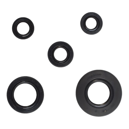SET DE RETENES YBR125 - Imagen 1