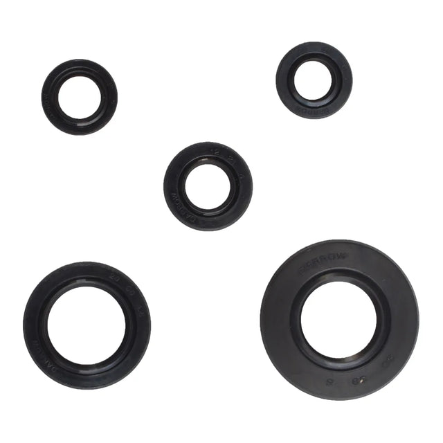 SET DE RETENES YBR125 - Imagen 1