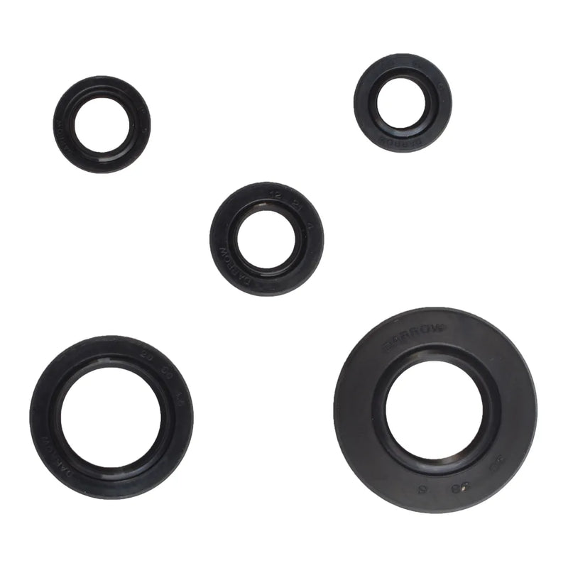 SET DE RETENES YBR125 - Imagen 1