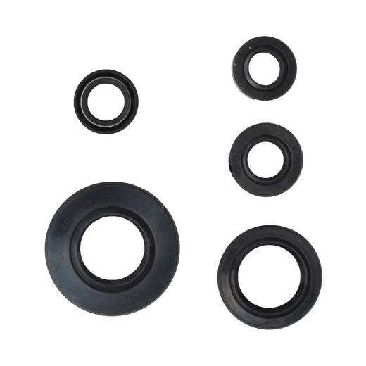 SET DE RETENES XTZ 125E - Imagen 1