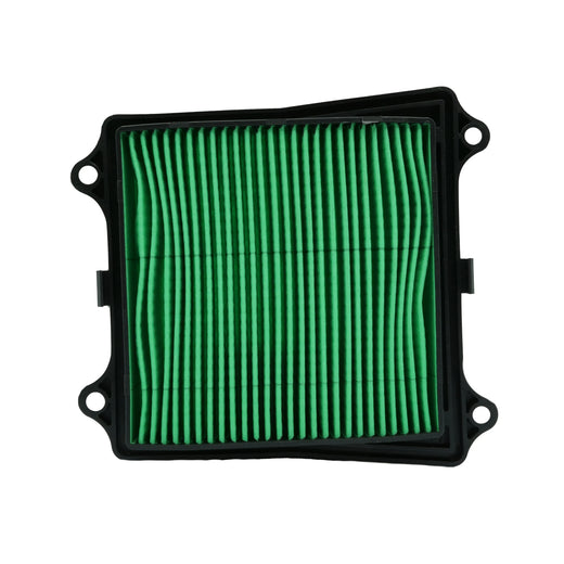 PANEL FILTRO AIRE PULSAR 160NS/NS200F1/RS200 - Imagen 1