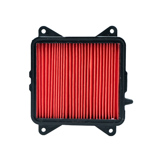 PANEL FILTRO AIRE DR150 - Imagen 1