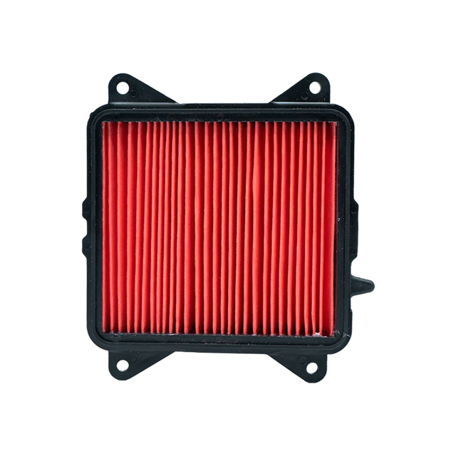 PANEL FILTRO AIRE DR150 - Imagen 1