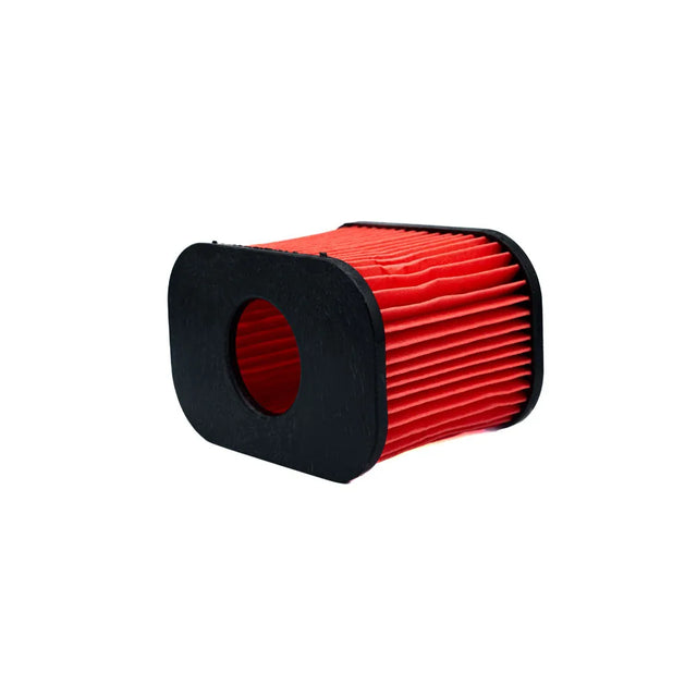 FILTRO AIRE TVS STRAYKER 125 - Imagen 1
