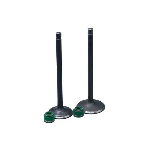 KIT VALVULAS ADM Y ESC AK200SM CON SELLOS - Imagen 1