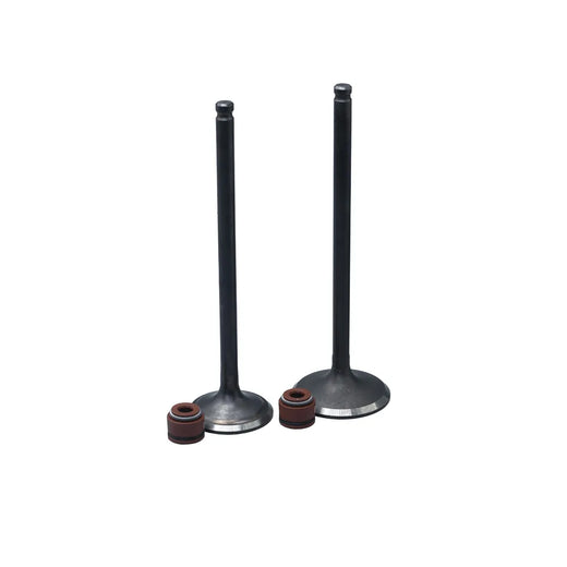 KIT VALVULAS ADM Y ESC NXR BROS125 CON SELLOS - Imagen 1
