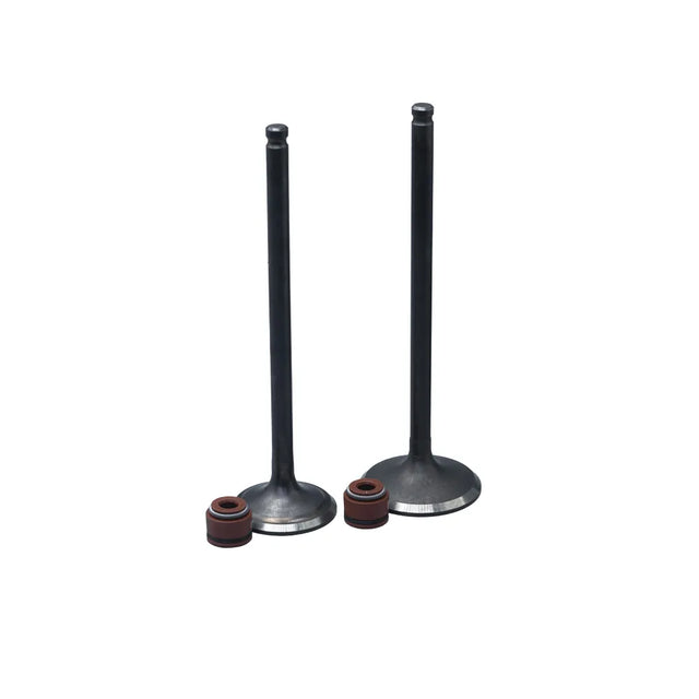 KIT VALVULAS ADM Y ESC NXR BROS125 CON SELLOS - Imagen 1