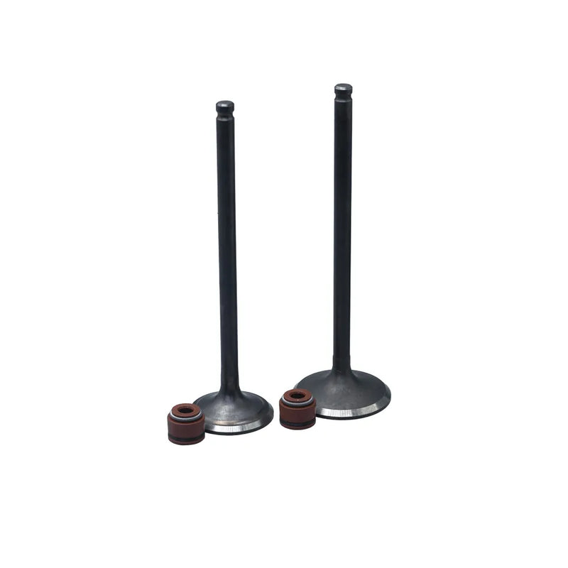KIT VALVULAS ADM Y ESC NXR BROS125 CON SELLOS - Imagen 1