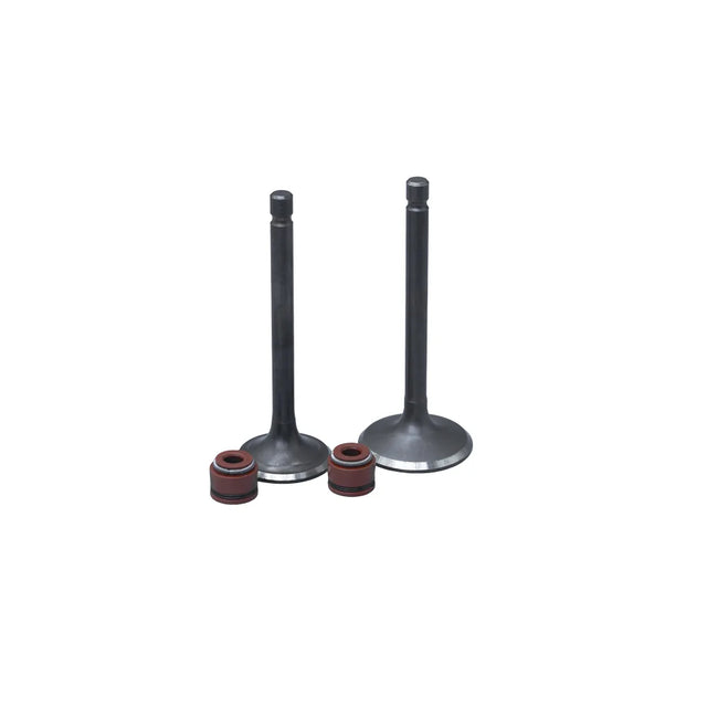 KIT VALVULAS ADM Y ESC YBR125/ LIBERO125/ XTZ125 CON SELLOS - Imagen 1