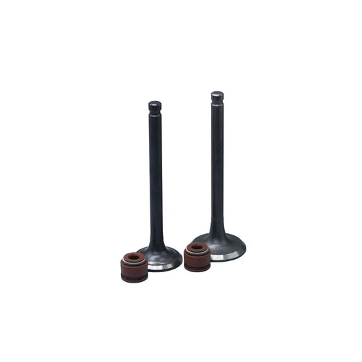 KIT VALVULAS ADM Y ESC YD110/ LIBERO110 CON SELLOS - Imagen 1