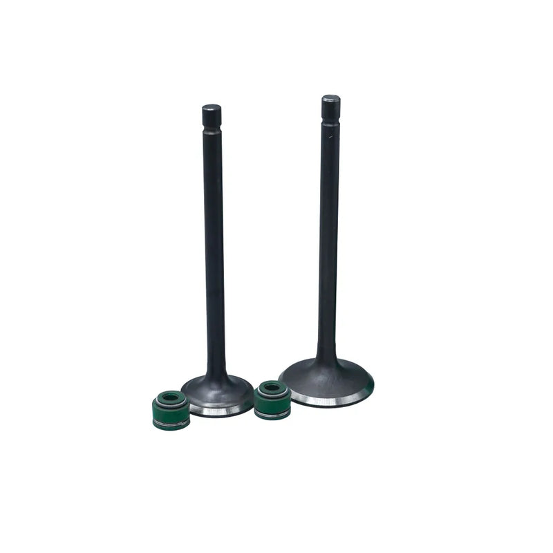 KIT VALVULAS ADM Y ESC AK150 EVO /AK150TT CON SELLOS - Imagen 1