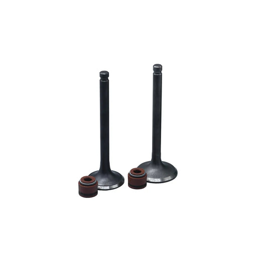 KIT VALVULAS ADM Y ESC SCOOTER GY6 CON SELLOS - Imagen 1