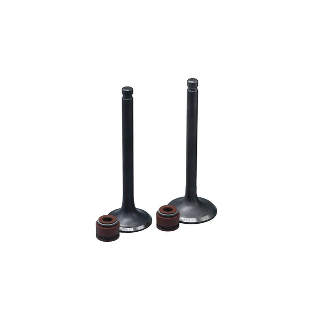 KIT VALVULAS ADM Y ESC SCOOTER GY6 CON SELLOS - Imagen 1