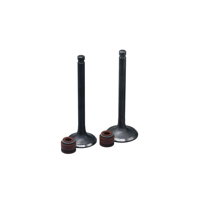 KIT VALVULAS ADM Y ESC SCOOTER GY6 CON SELLOS - Imagen 1