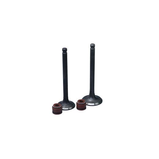 KIT VALVULAS ADM Y ESC AK110S/ WAVE / C100-BIZ CON SELLOS - Imagen 1