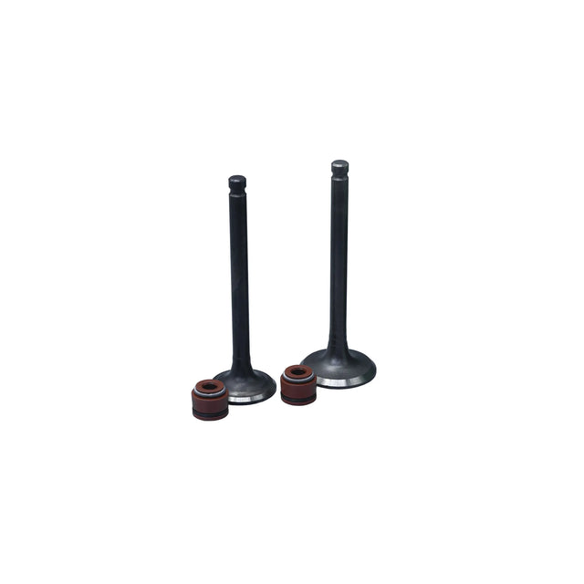 KIT VALVULAS ADM Y ESC AK110S/ WAVE / C100-BIZ CON SELLOS - Imagen 1