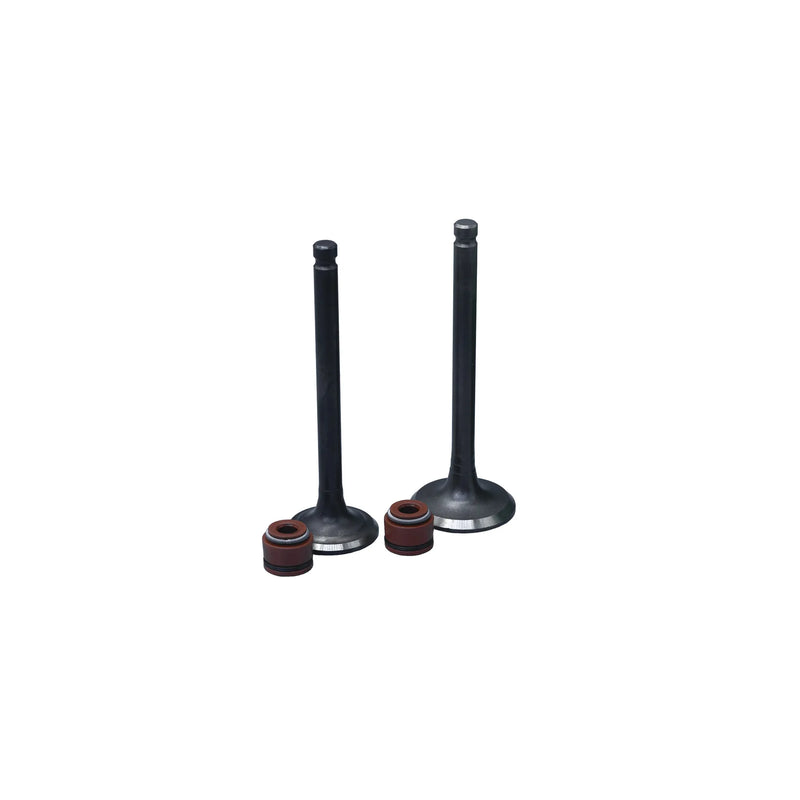 KIT VALVULAS ADM Y ESC AK110S/ WAVE / C100-BIZ CON SELLOS - Imagen 1