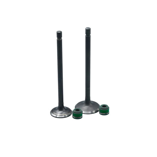 KIT VALVULAS ADM Y ESC AK125SL / AK125 EVO/ AK125 TT/ E-STORM CON SELLOS - Imagen 1