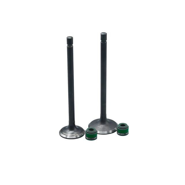 KIT VALVULAS ADM Y ESC AK125SL / AK125 EVO/ AK125 TT/ E-STORM CON SELLOS - Imagen 1