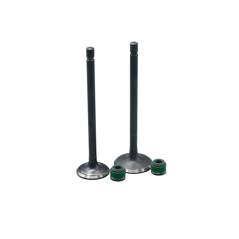 KIT VALVULAS ADM Y ESC AK125SL / AK125 EVO/ AK125 TT/ E-STORM CON SELLOS - Imagen 1