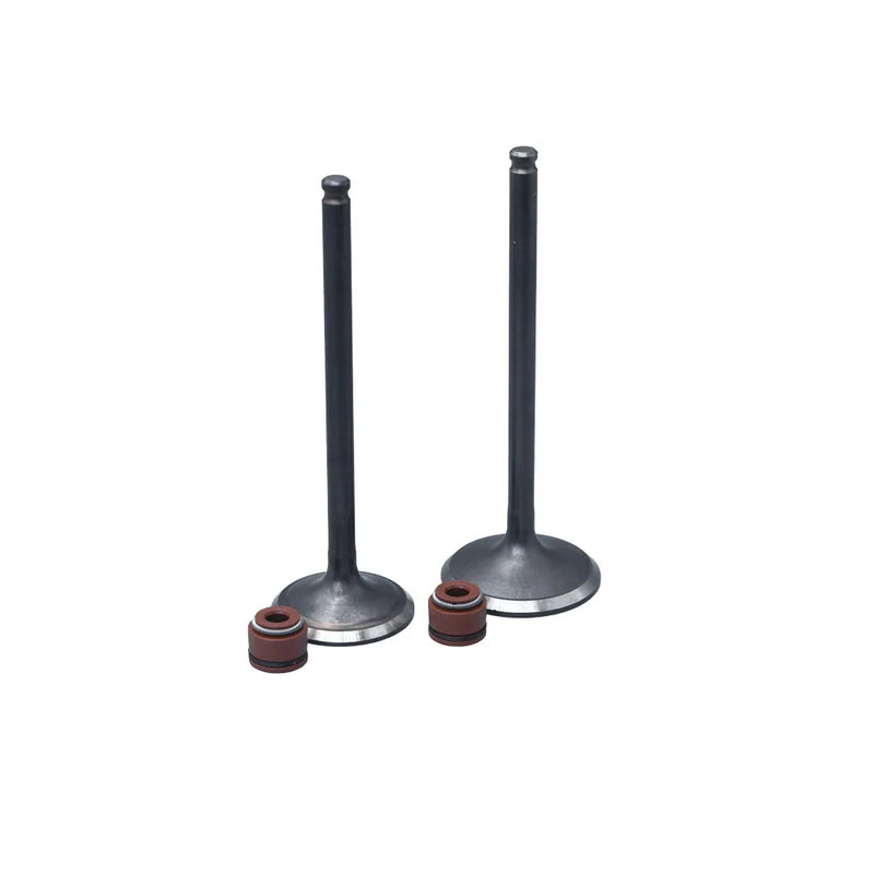 KIT VALVULAS ADM Y ESC CBF150/ XR150L/ CBF150/ CB150 NEW INVICTA-COBRA CON SELLOS - Imagen 1