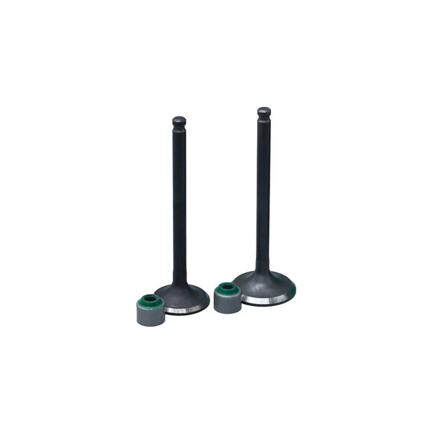 KIT VALVULAS ADM Y ESC CRYPTON110 CON SELLOS - Imagen 1