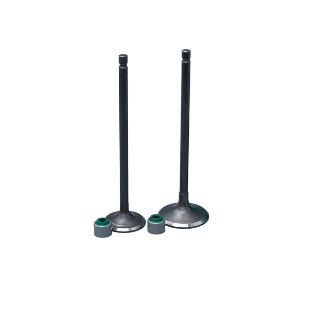 KIT VALVULAS ADM Y ESC DISCOVER135  CON SELLOS - Imagen 1