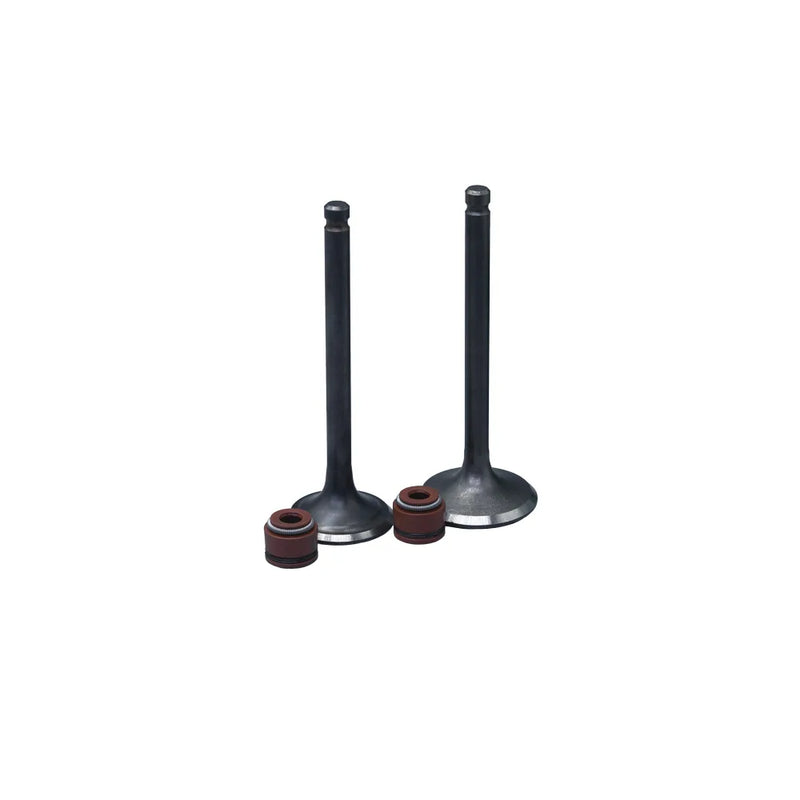KIT VALVULAS ADM Y ESC FD125 BEST CON SELLOS - Imagen 1