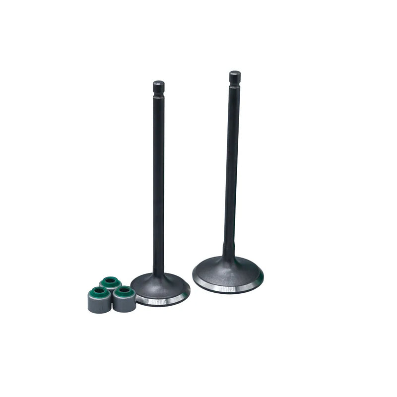 KIT VALVULAS ADM Y ESC PULSAR II CON SELLOS - Imagen 1