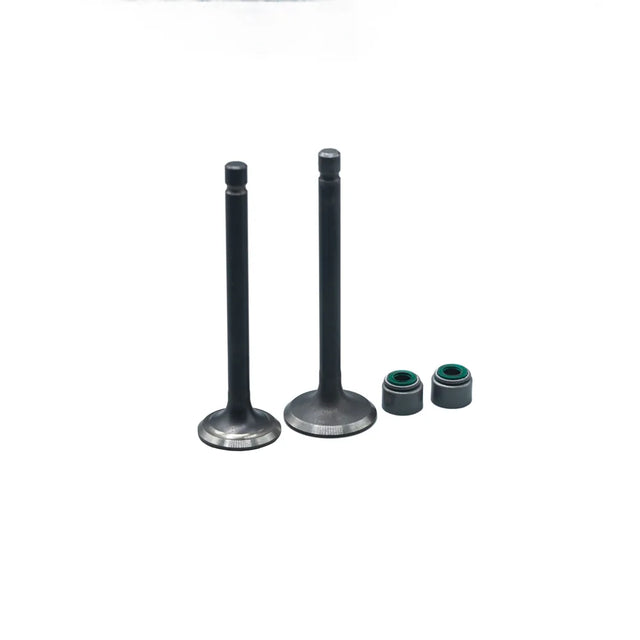 KIT VALVULAS ADM Y ESC BOXER CT100 CON SELLOS - Imagen 1