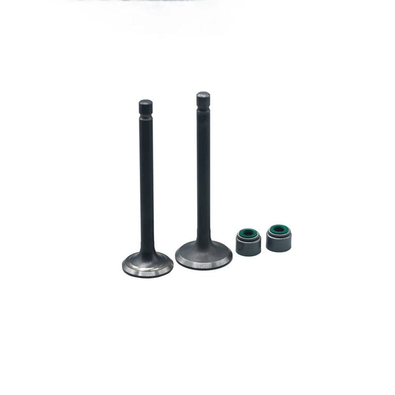 KIT VALVULAS ADM Y ESC BOXER CT100 CON SELLOS - Imagen 1