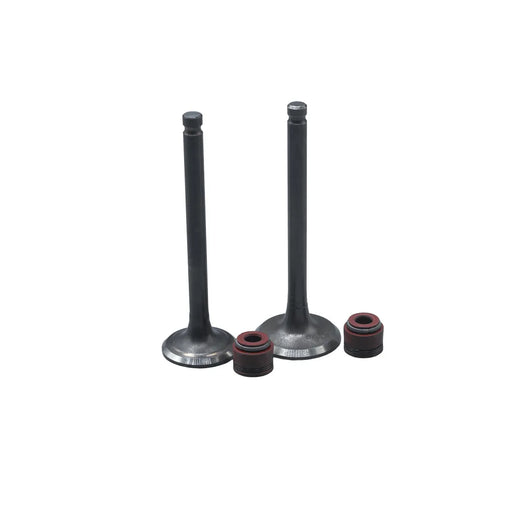 KIT VALVULAS ADM Y ESC ECO100/ ECO DELUXE CON SELLOS - Imagen 1