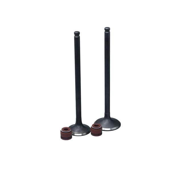 KIT VALVULAS ADM Y ESC GN125H CON SELLOS - Imagen 1