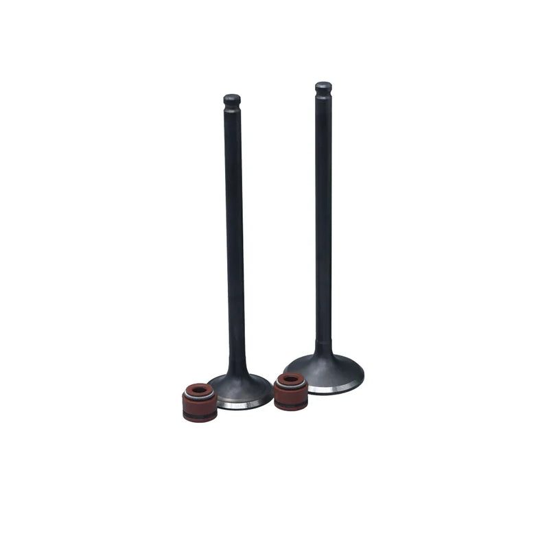 KIT VALVULAS ADM Y ESC GN125H CON SELLOS - Imagen 1