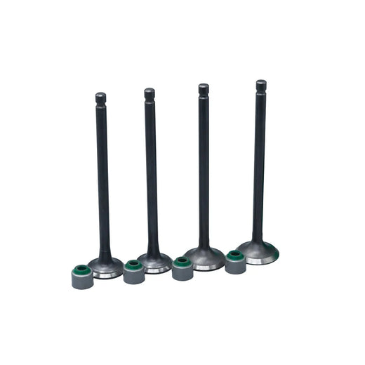KIT VALVULAS ADM Y ESC PULSAR 135 CON SELLOS - Imagen 1