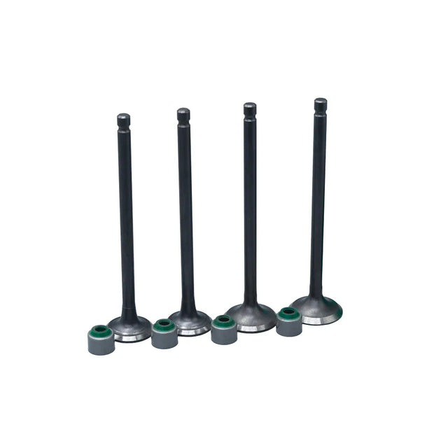 KIT VALVULAS ADM Y ESC PULSAR 135 CON SELLOS - Imagen 1
