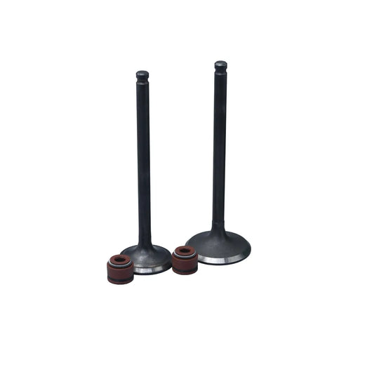 KIT VALVULAS ADM Y ESC AGILITY125 CON SELLOS - Imagen 1