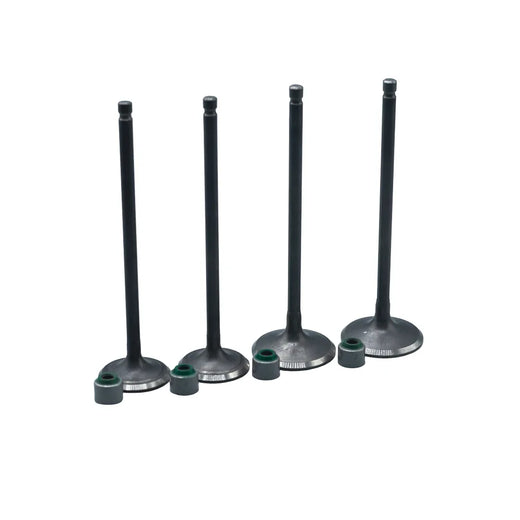 KIT VALVULAS ADM Y ESC PULSAR200 NS CON SELLOS - Imagen 1