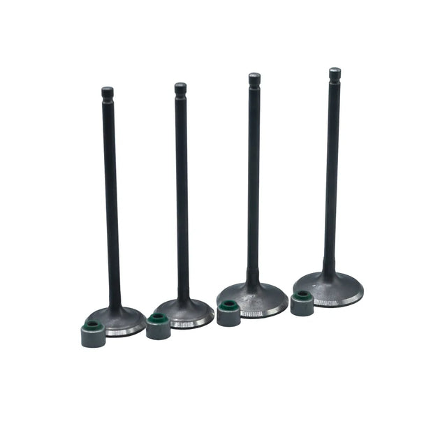 KIT VALVULAS ADM Y ESC PULSAR200 NS CON SELLOS - Imagen 1