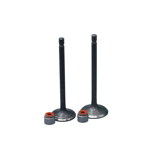 KIT VALVULAS ADM Y ESC TVS160/180 CON SELLOS - Imagen 1
