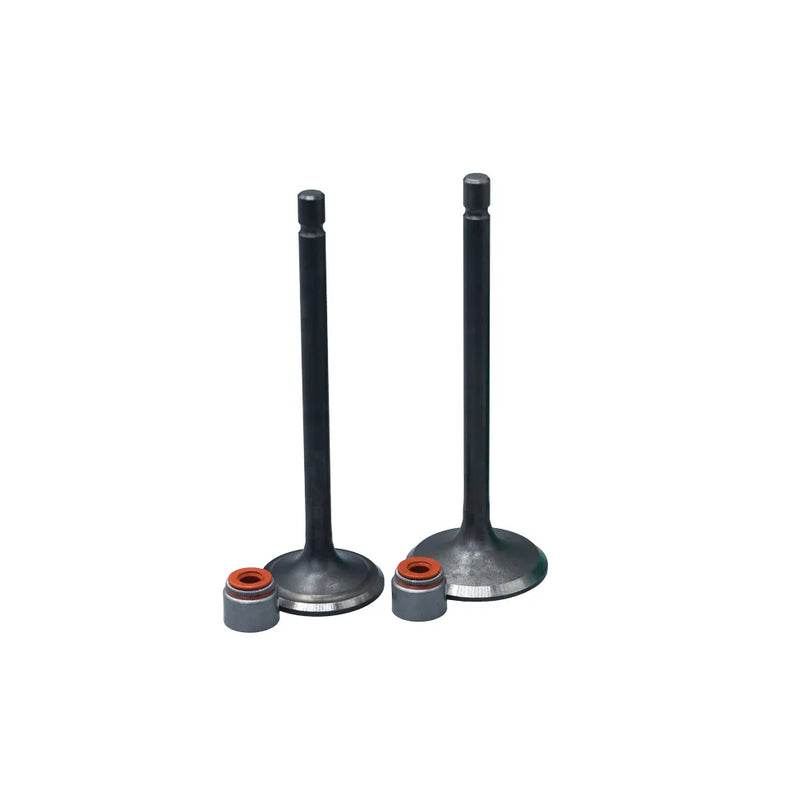 KIT VALVULAS ADM Y ESC TVS160/180 CON SELLOS - Imagen 1