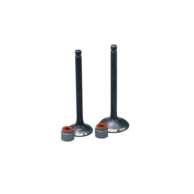 KIT VALVULAS ADM Y ESC TVS100 CON SELLOS - Imagen 1