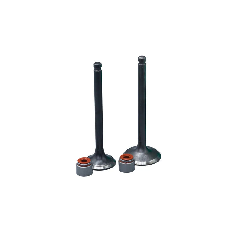 KIT VALVULAS ADM Y ESC TVS100 CON SELLOS - Imagen 1