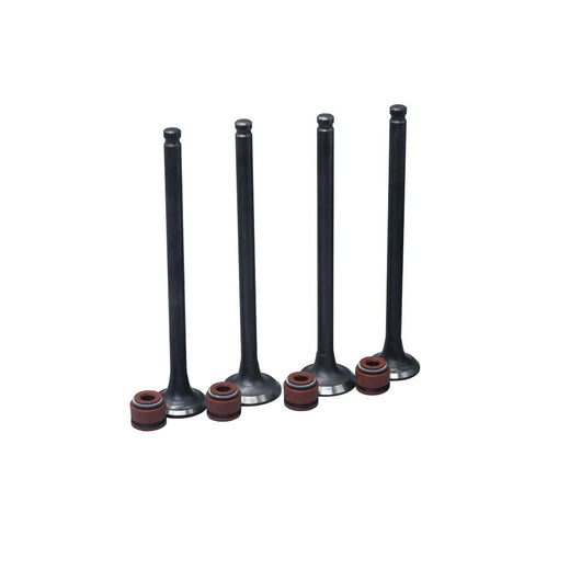 KIT VALVULAS ADM Y ESC BW125X CON SELLOS - Imagen 1