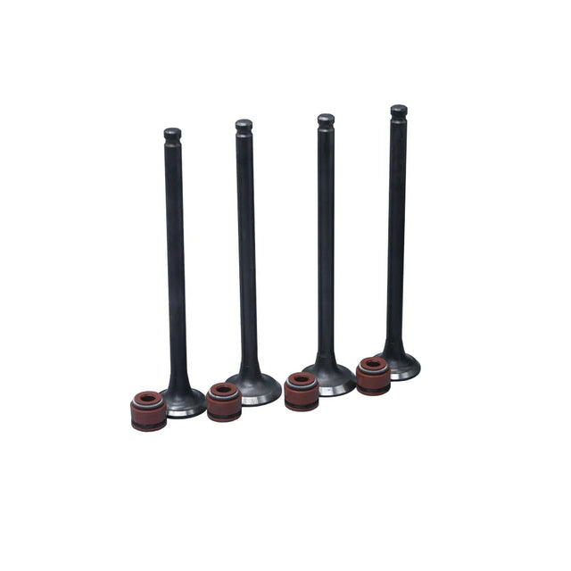 KIT VALVULAS ADM Y ESC BW125X CON SELLOS - Imagen 1