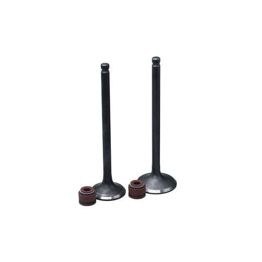 KIT VALVULAS ADM Y ESC DYNAMIC 125 PRO CON SELLOS - Imagen 1