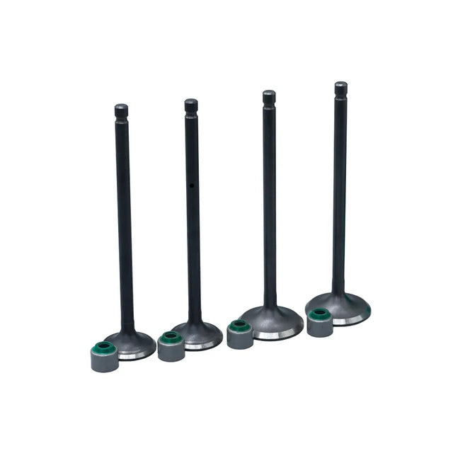 KIT VALVULAS ADM Y ESC PULSAR 150 NS CON SELLOS - Imagen 1