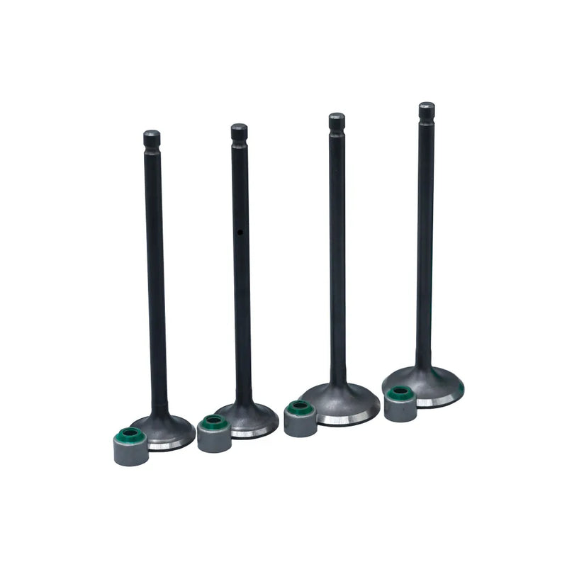 KIT VALVULAS ADM Y ESC PULSAR 150 NS CON SELLOS - Imagen 1