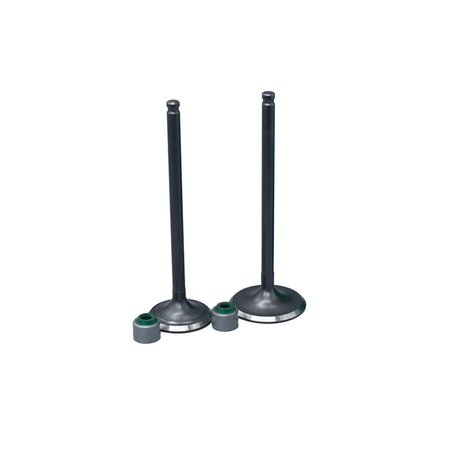 KIT VALVULAS ADM Y ESC FZ2.0/ XTZ150 CON SELLOS - Imagen 1