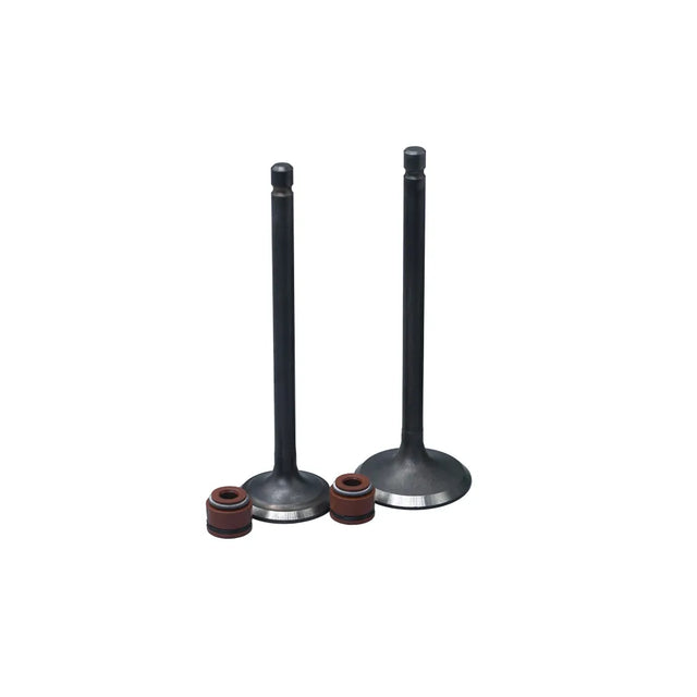 KIT VALVULAS ADM Y ESC FZ16/ SZR150 CON SELLOS - Imagen 1